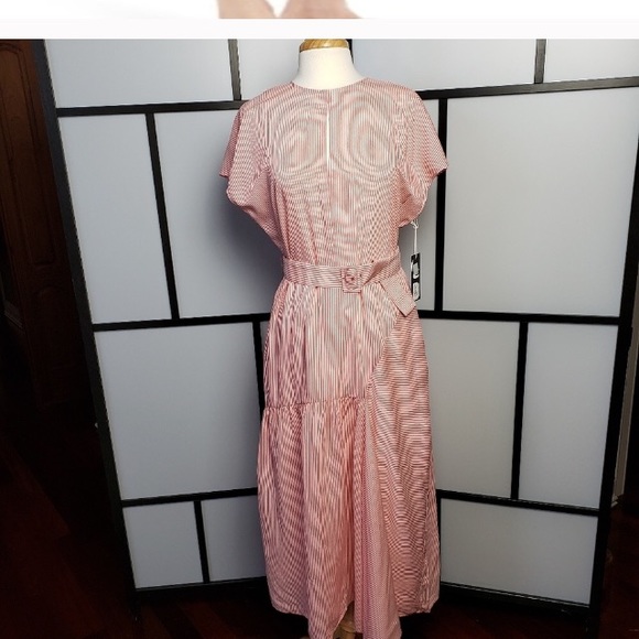 Beautiful new dress - Picture 5 of 8